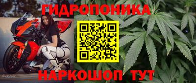 соль ск Кимры