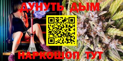 стаф Кингисепп