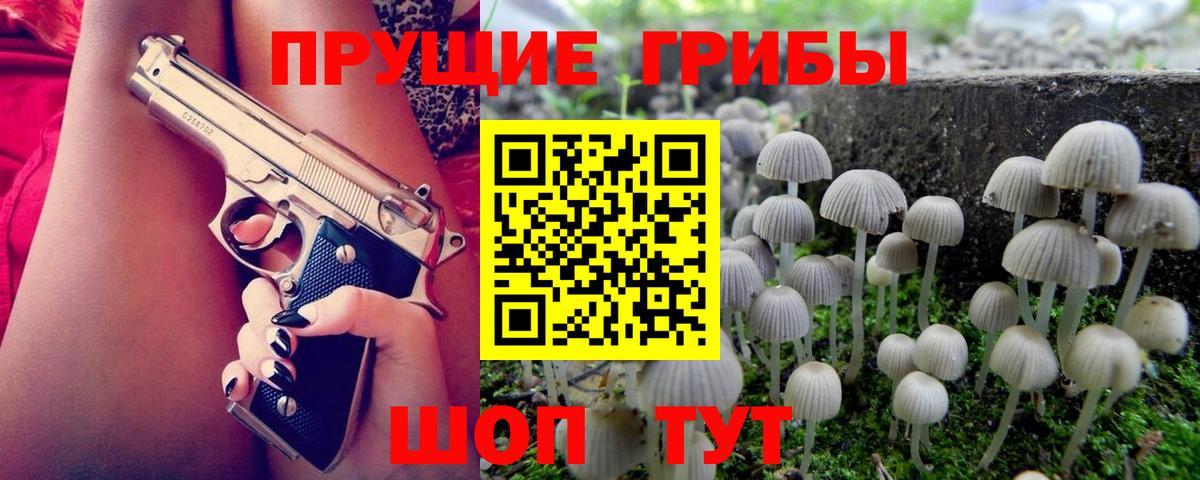 Корсаков  Галлюциногенные грибы мухоморы  Вход с VPN  Галлюциногенные грибы GOLDEN TEACHER 